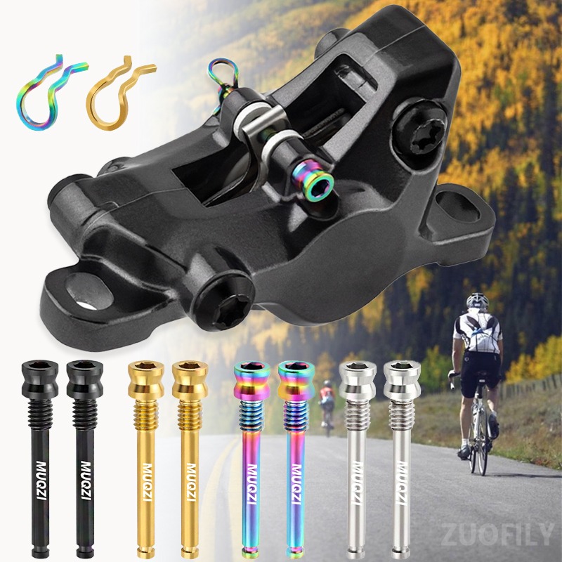 1/2 Stück Titan-Scheibenbremss – Mountain Biking Pads Bewertung und Preis