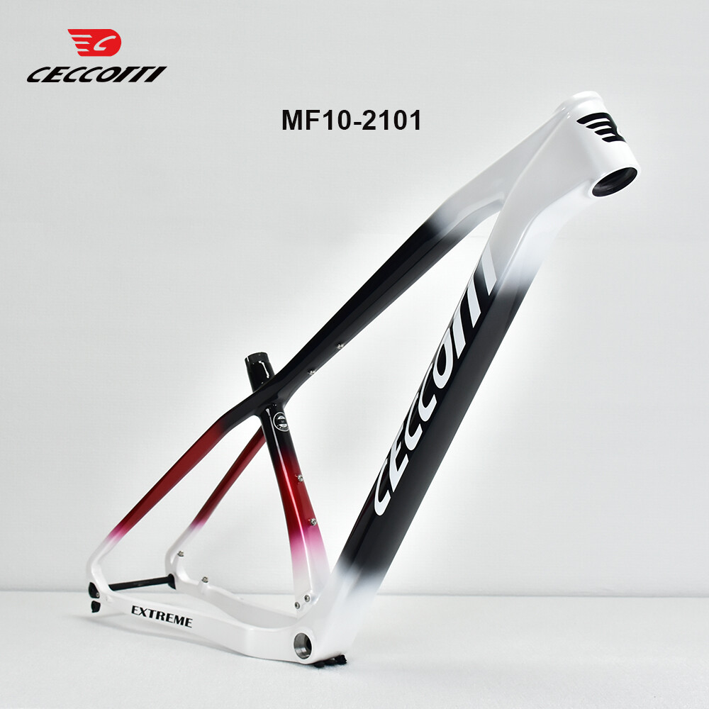 CECCOTTI 29er MTB Rahmen BSA 1 – Mountain Biking In The Uk Bewertung und Preis